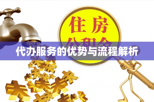 潮阳代办服务的优势与流程解析