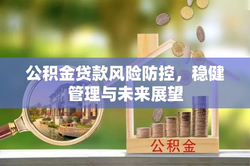 潮阳公积金贷款风险防控，稳健管理与未来展望