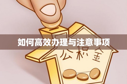 潮阳如何高效办理与注意事项