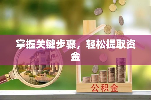 潮阳掌握关键步骤，轻松提取资金