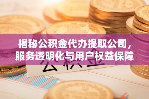 潮阳揭秘公积金代办提取公司，服务透明化与用户权益保障