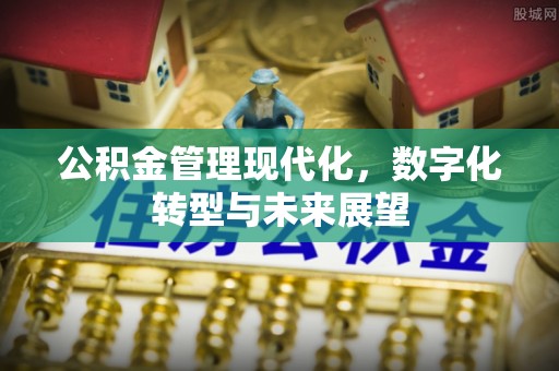 潮阳公积金管理现代化，数字化转型与未来展望