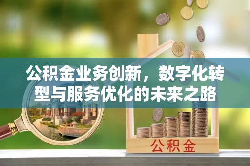 潮阳公积金业务创新，数字化转型与服务优化的未来之路