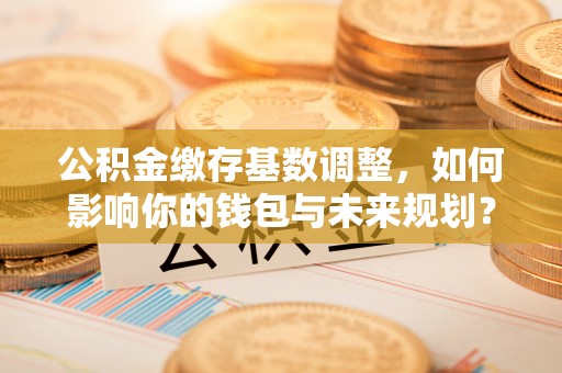 潮阳公积金缴存基数调整，如何影响你的钱包与未来规划？