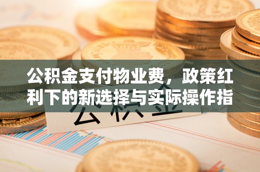 潮阳公积金支付物业费，政策红利下的新选择与实际操作指南