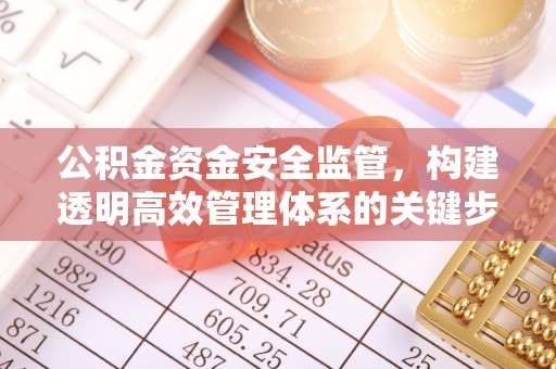 潮阳公积金资金安全监管，构建透明高效管理体系的关键步骤
