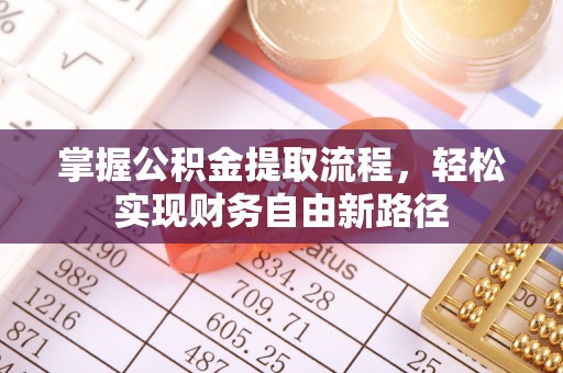 潮阳掌握公积金提取流程，轻松实现财务自由新路径