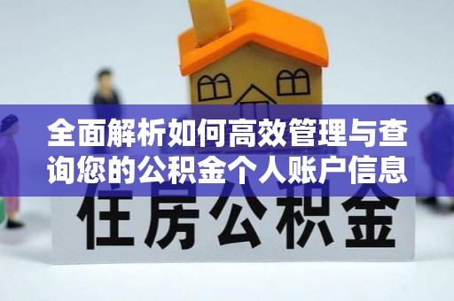 潮阳全面解析如何高效管理与查询您的公积金个人账户信息