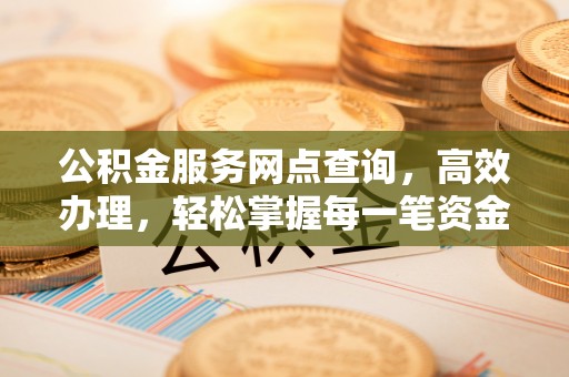潮阳公积金服务网点查询，高效办理，轻松掌握每一笔资金动态