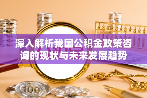 潮阳深入解析我国公积金政策咨询的现状与未来发展趋势