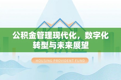 潮阳公积金管理现代化，数字化转型与未来展望