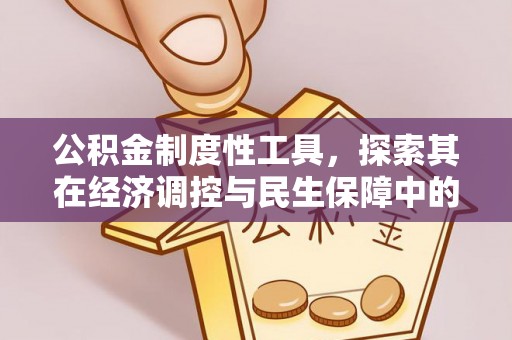 潮阳公积金制度性工具，探索其在经济调控与民生保障中的重要作用