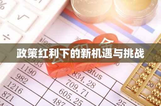 潮阳政策红利下的新机遇与挑战