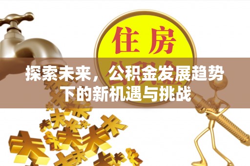 潮阳探索未来，公积金发展趋势下的新机遇与挑战