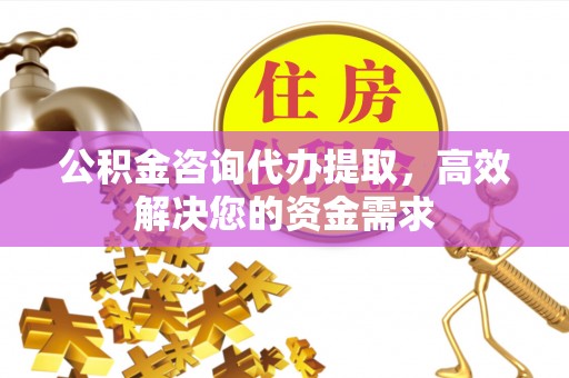 潮阳公积金咨询代办提取，高效解决您的资金需求