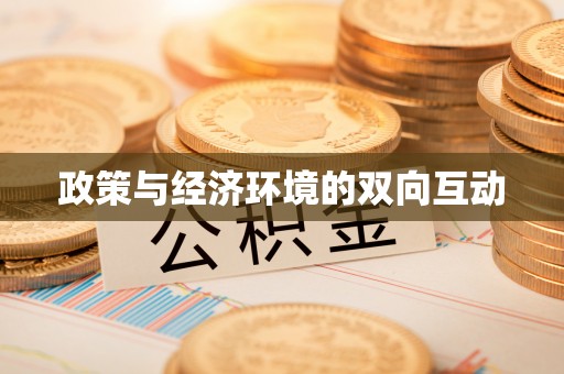 潮阳政策与经济环境的双向互动