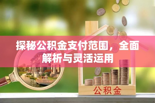 潮阳探秘公积金支付范围，全面解析与灵活运用