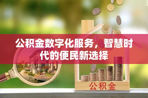 潮阳公积金数字化服务，智慧时代的便民新选择