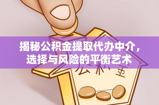 潮阳揭秘公积金提取代办中介，选择与风险的平衡艺术
