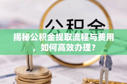 潮阳揭秘公积金提取流程与费用，如何高效办理？