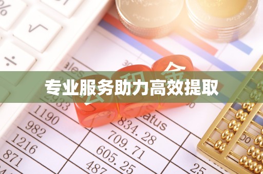 潮阳专业服务助力高效提取