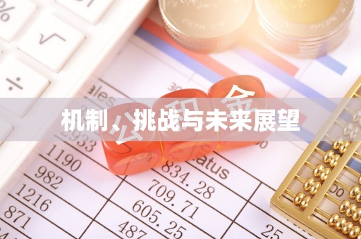 潮阳机制、挑战与未来展望
